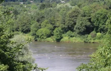 Zanieczyszczona rzeka w Gliwicach