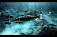 Podwodna scena - ryby w Kitch-iti-kipi w 4K