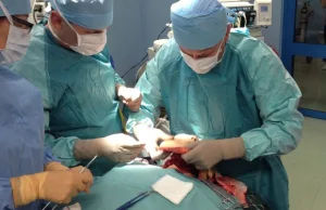 „Nie rodziny zmarłych, ale szpitale są barierą w transplantacji”