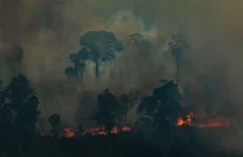 Eksperci: Dżungla amazońska produkuje 20 proc. tlenu? Nie