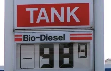 Biodiesel calculator | Is it worth to use it?