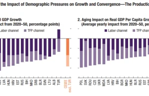 2050: Polska straci najwięcej PKB w regionie; 2 najbardziej obciążona starzeniem