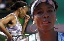 Wypadek Venus Williams. Kto ponosi winę za zdarzenie?