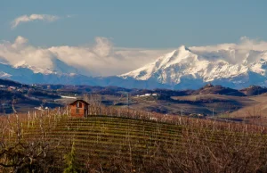 Piemont, niesamowity region win Barbresco i Barolo