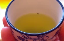 Jak dobrze zaparzyć zieloną herbatę