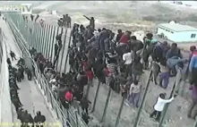 Nielegalni imigranci próbują przekroczyć granicę... gdzie te kobiety i dzieci..?