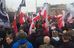 Niewielka grupa Polaków manifestuje w Warszawie przeciw imigrantom! [WIDEO]