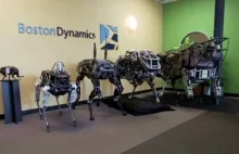 Nowy robot Boston Dynamics.