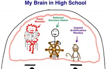 The Procrastination Matrix - Wait But Why?