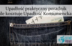 Ie kosztuje Upadłość Konsumencka? | Łatwe Prawo