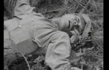 Japońscy snajperzy w akcji: walki o Birmańską dżunglę w 1944 r.