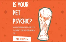 Psychic Pets - czy twój zwierzaczek potrafi typować?