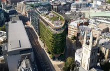 W Londynie powstanie biurowiec z żywą fasadą. Na niej aż 400.000 roślin!