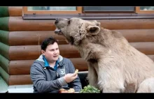 Rosjanie mieszkający z niedźwiedziem