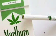 Producent Marlboro inwestuje 1,8 miliarda dolarów w kanadyjską marihuanę