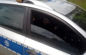 Jest kara dla policjantów, którzy spali w radiowozie podczas służby