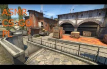 ASMR CS:GO #2 | ASMR PL","lengthSeconds":"241","keywords":["asmr cs...