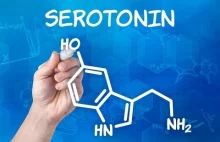 SSRI (selektywne inhibitory wychwytu zwrotnego serotoniny). Brać czy nie...