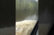 Kierowca autobusu włączył "My Heart Will Go On" gdy jechał po zalanej drodze