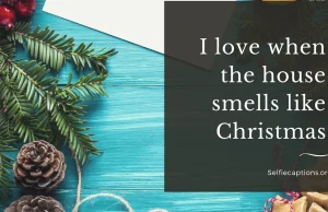 50+ Christmas Captions | Quotes | Puns For Instagram