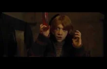 harry potter i poka sowe (rmx