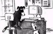 W Internecie nikt nie wie, że jesteś psem – Mem z 1993 roku.