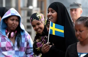 Inspektorzy ONZ doszukali się "afrofobii" w Szwecji