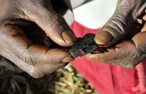 UK: kobieta z Ugandy winna uszkodzenia narządów seksualnych 3-letniej córki