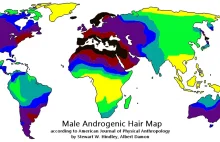 Procent naturalnego owłosienie ciała mężczyzn w poszczególnych regionach świata