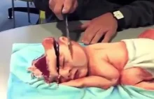 Baby Cake Cut into Pieces and eaten