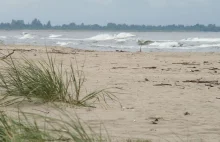 Plaża Mikoszewo - atrakcje turystyczne Mikoszewo