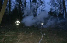 Dzielnicowi zapobiegli pożarowi lasu