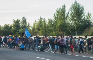 Niemcy: 27-letni Sudańczyk zarejestrował się pod 13 nazwiskami i wyłudził...