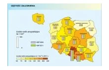 Spis Powszechny 2011 - wyniki: ludność Polski, bezrobocie, najciekawsze dane