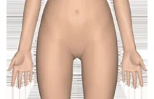 InnerBody - przejrzysta strona z anatomią człowieka