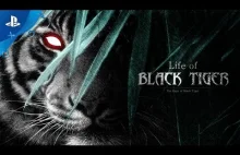 Life of Black Tiger - prawdopodobnie najbrzydsza gra na PS4