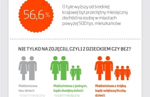 Domowa dziura budżetowa (infografika)