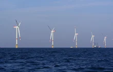Gdynia chce wesprzeć rozwój morskich farm wiatrowych