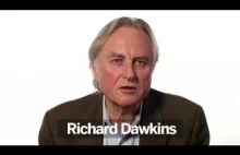 Znaczenie robienia bezużytecznych rzeczy- Professor Richard Dawkins