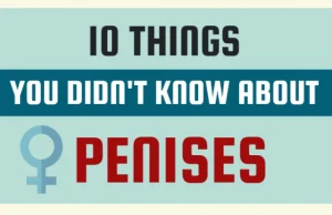 10 rzeczy, których nie wiedziałeś o penisie [ENG]