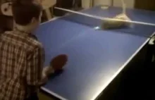 Cat playing ping pong