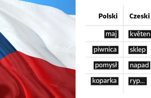 Język czeski i język polski – podobieństwa i różnice
