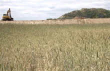 Raport Brukseli. Ponad 200 tys. hektarów ziemi sprzedanej tzw. słupom ..