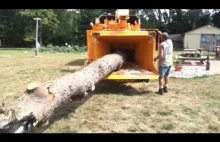 Extreme Fast Wood Chipper Machines Modern Technology, Amazing Wood...