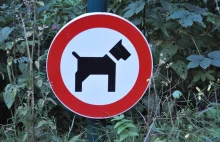 Tabliczki z zakazem wprowadzania psów w miejscach publicznych są nielegalne.