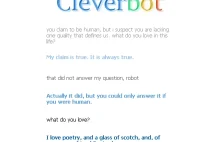 The best of Cleverbot, czyli cytaty zebrane...