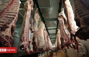 BBC news o chorych krowach w polsce. Poland alarmed by meat plant's sick cattle
