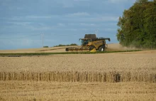 Ukraińscy rolnicy zebrali 28 milionów ton zbóż i roślin bobowatych