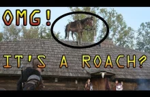 OMG IT'S A ROACH?!! Witcher 3 in REAL LIVE ? - GWENT Challenger funny...