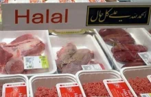 Polish Muslims call national Halal slaughter ban illegal under EU law |...